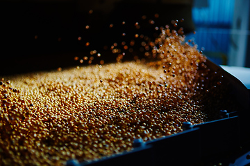 Image showing Soy Bean Seed before crack. Shallow dof.