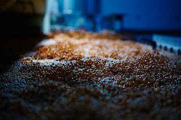 Image showing Soy Bean Seed before crack. Shallow dof.