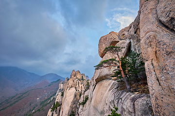 Image showing View from Ulsanbawi rock peak. Seoraksan National Park, South Corea