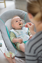 Image showing Mother spoon feeding her baby boy infant child in baby chair with fruit puree. Baby solid food introduction concept.