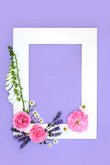 Image showing Summer Flower Decorative Floral Background Border