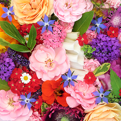 Image showing Medicinal Summer Herbs and Flowers 