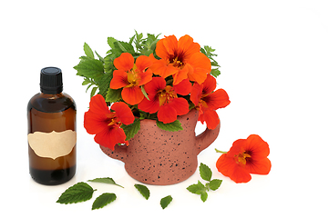 Image showing Nasturtium and Lemon Balm to Treat Colds and Flu