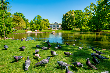 Image showing Duck Pond Krasinski