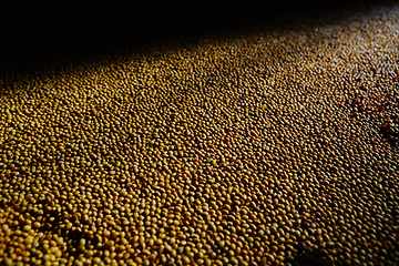 Image showing Soy Bean Seed before crack. Shallow dof.