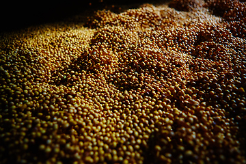 Image showing Soy Bean Seed before crack. Shallow dof.