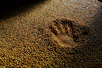 Image showing Soy Bean Seed before crack. Shallow dof.