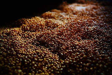 Image showing Soy Bean Seed before crack. Shallow dof.