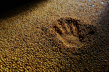 Image showing Soy Bean Seed before crack. Shallow dof.