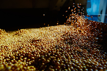 Image showing Soy Bean Seed before crack. Shallow dof.