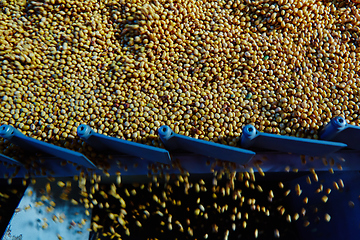 Image showing Soy Bean Seed before crack. Shallow dof.