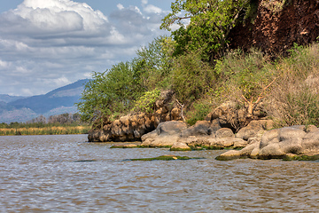 Image showing Lake Chamo landscape, Ethiopia Africa