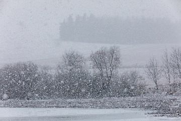 Image showing Winter landscape covered with snowfall