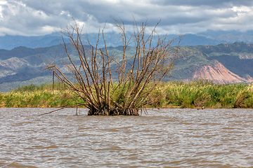 Image showing Lake Chamo landscape, Ethiopia Africa