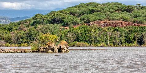 Image showing Lake Chamo landscape, Ethiopia Africa