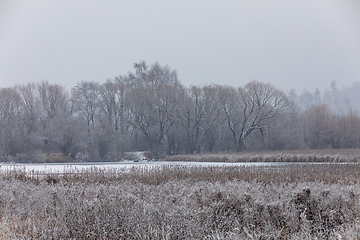 Image showing Winter landscape covered with snowfall