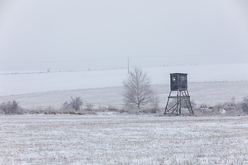 Image showing Winter landscape covered with snow