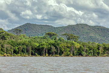Image showing Lake Chamo landscape, Ethiopia Africa
