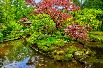 Image showing Japanese garden, Park Clingendael, The Hague, Netherlands