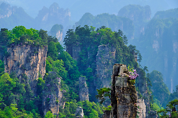 Image showing Zhangjiajie mountains, China