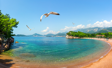 Image showing Famous sandy beach Milocer