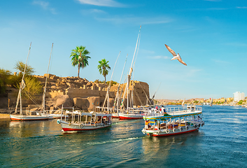 Image showing Feluccas and boats