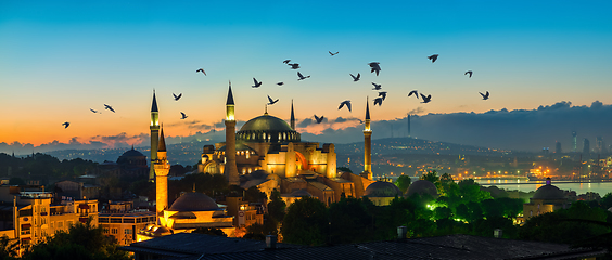 Image showing Flock of birds over mosque