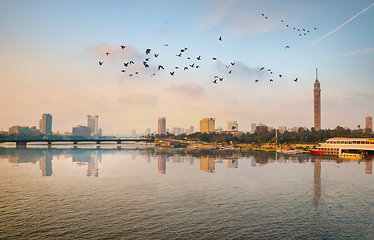 Image showing Flock of birds over river Nile