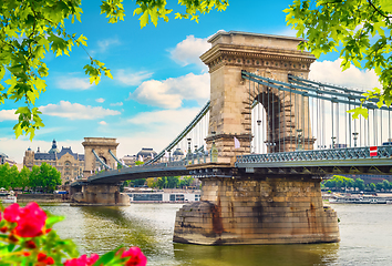 Image showing Flowers and Chain bridge