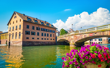 Image showing Flowers in Strasbourg