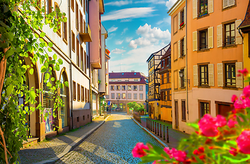 Image showing Flowers on street