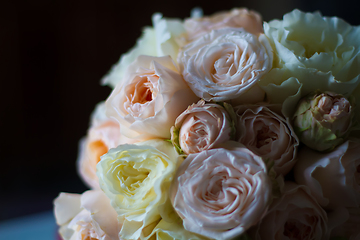 Image showing Summer blossoming delicate roses on blooming flowers festive background