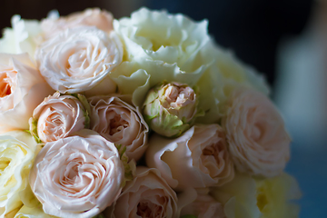 Image showing Summer blossoming delicate roses on blooming flowers festive background