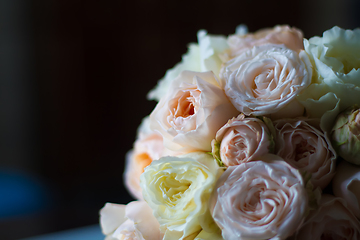 Image showing Summer blossoming delicate roses on blooming flowers festive background