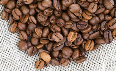 Image showing coffee grain