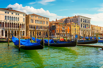 Image showing Gondolas along the Grand Canal