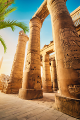 Image showing Great columns in Karnak