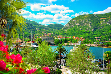 Image showing Harbor in Kotor