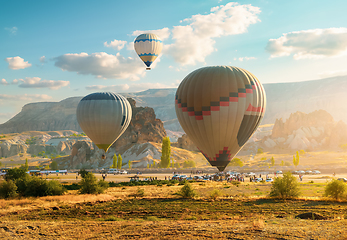 Image showing Hot air balloons in morning