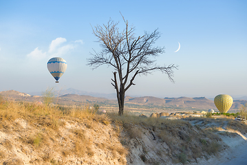 Image showing Hot air balloons landing