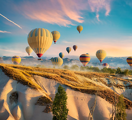 Image showing Hot air balloons