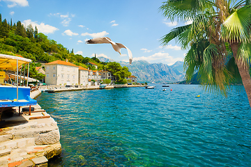 Image showing Hot day in Perast