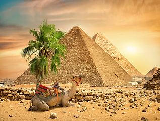 Image showing Landscape at Giza