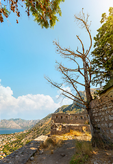 Image showing Landscape of bay of Kotor
