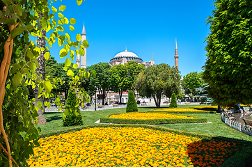 Image showing Mosque from park in Istanbul