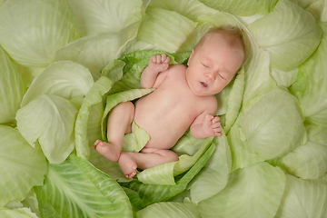 Image showing Newborn baby in cabbage leaves