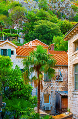 Image showing Old houses in Kotor