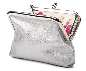 Image showing Open silver purse