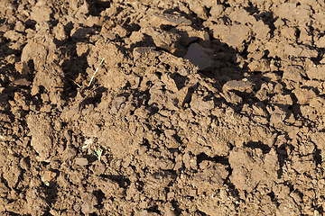 Image showing simple arable land