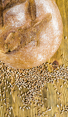 Image showing soft bread